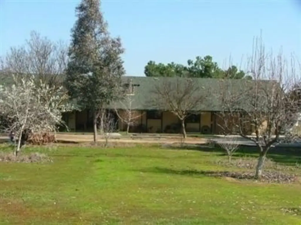Picture 7