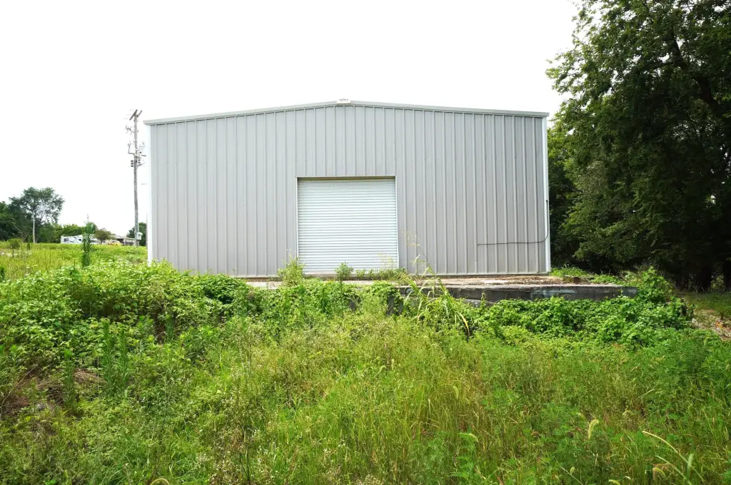 Picture 6