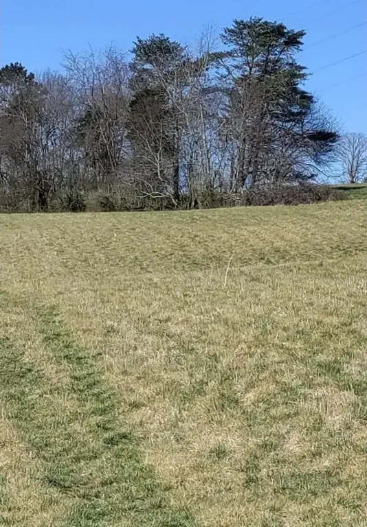 Picture 14