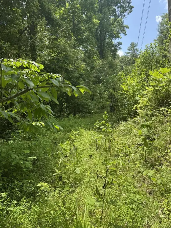 Picture 18