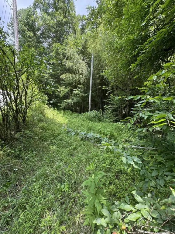 Picture 9