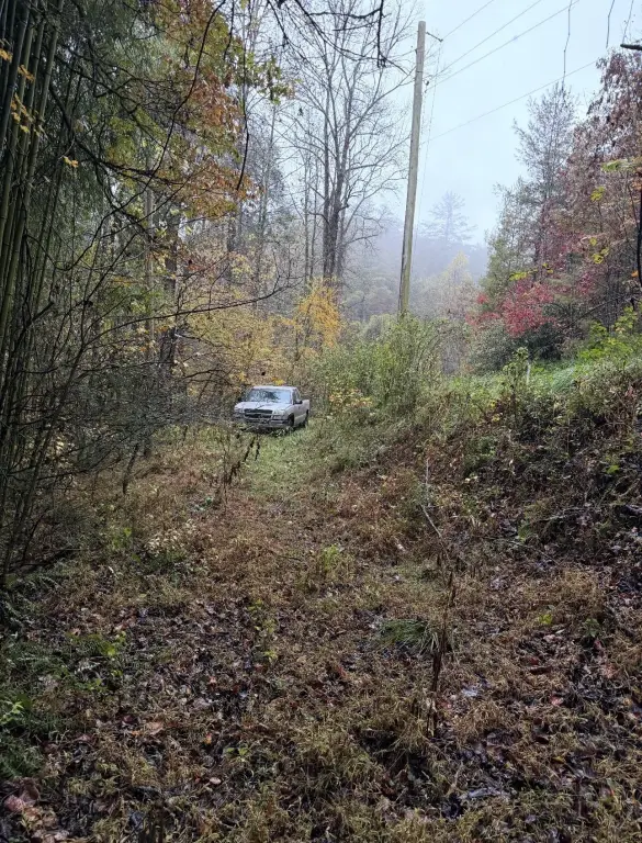Picture 5