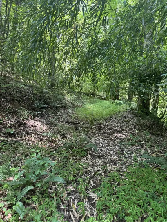 Picture 12