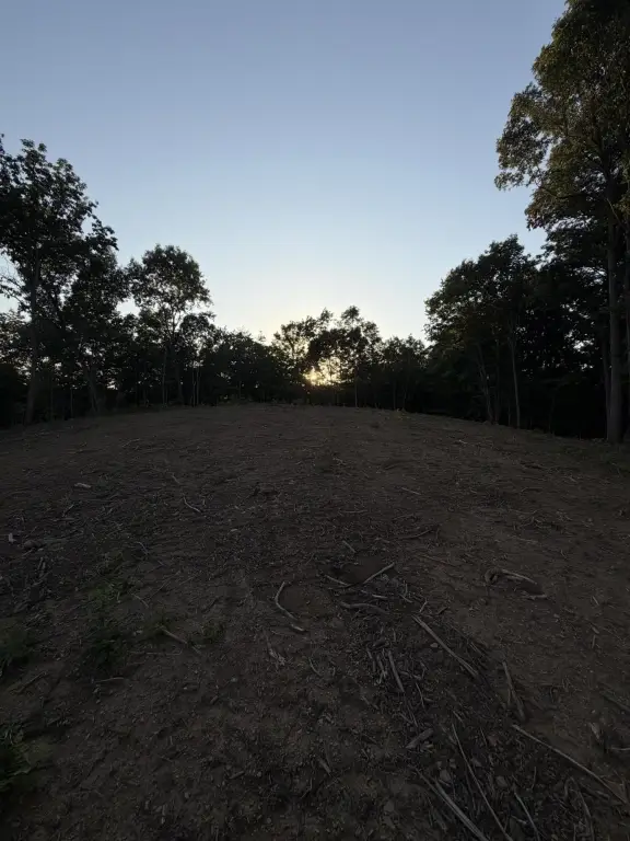 Picture 17