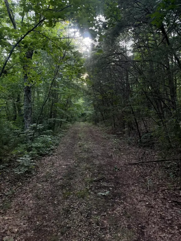 Picture 18