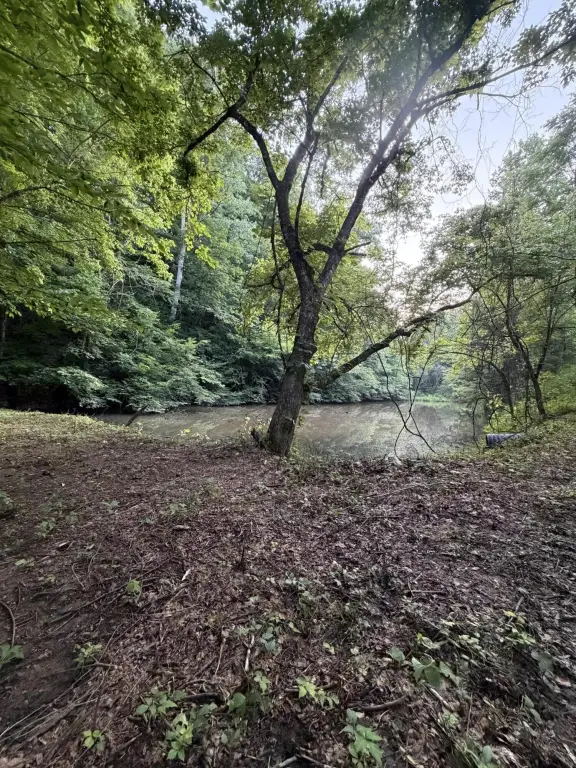Picture 22