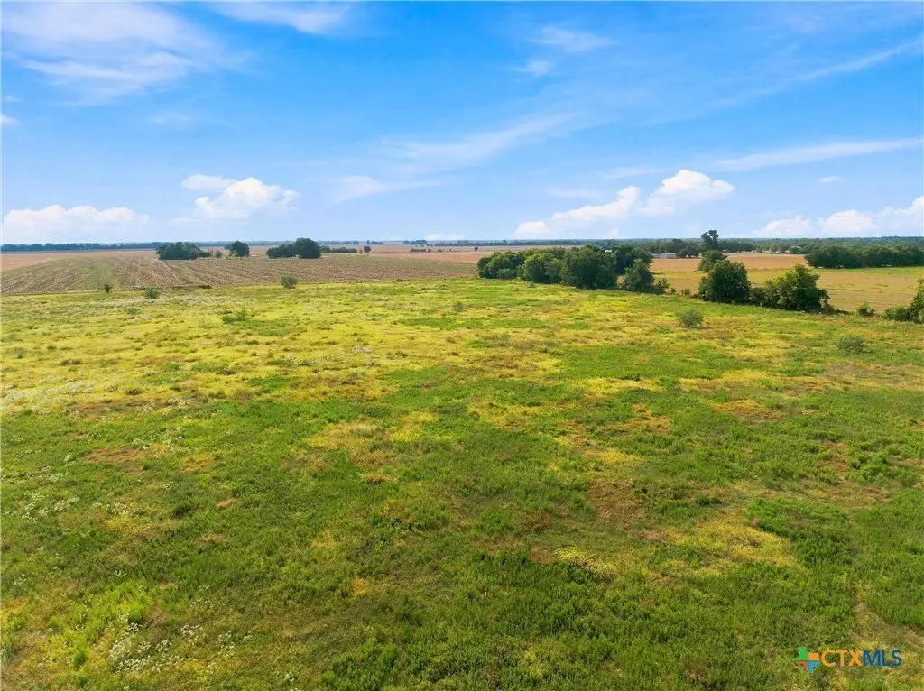 Picture 7