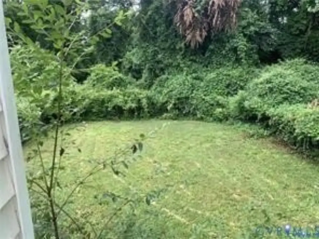 Picture 36