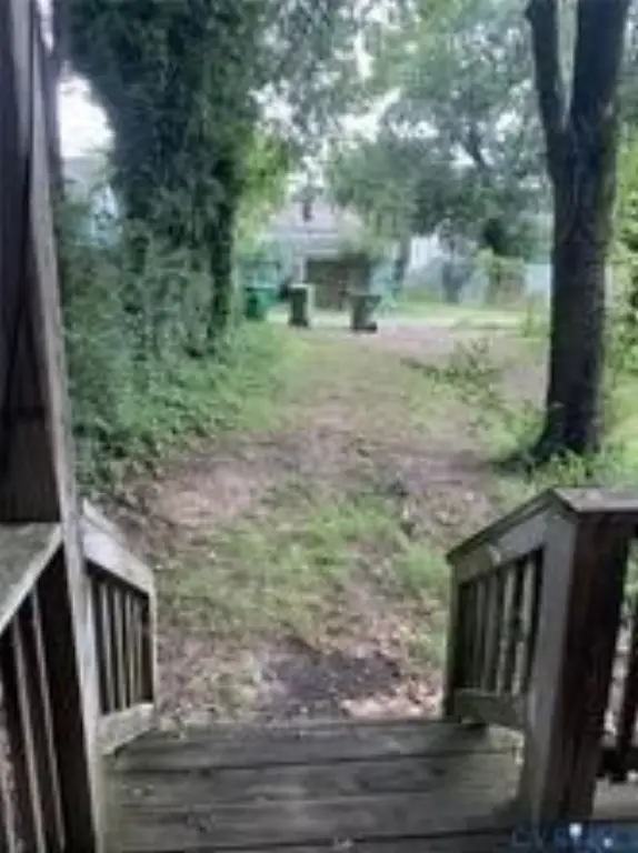 Picture 15