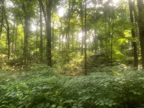 Residential Land in Trumbull, CT