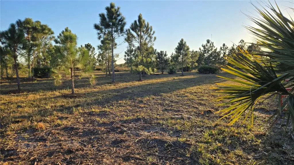 Picture 3