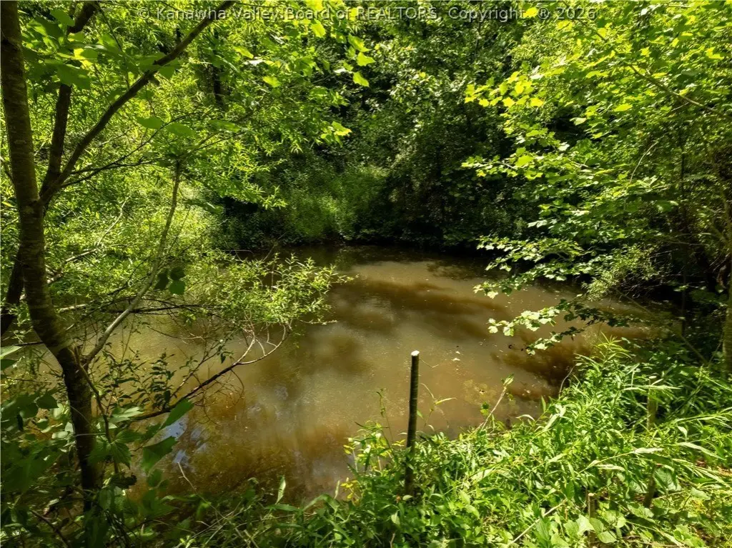 Picture 13
