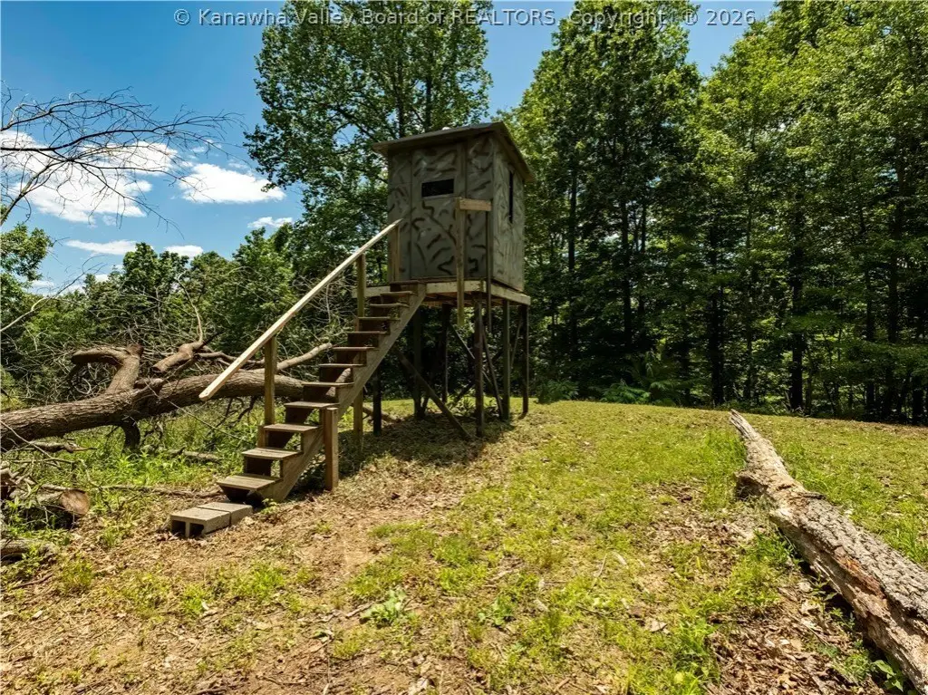 Picture 8