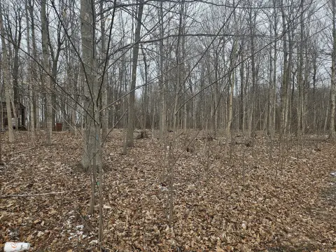 Serene Wooded Land Parcel