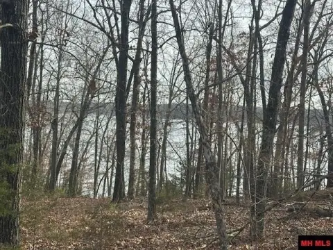 Wooded Lot Near Bull Shoals Lake