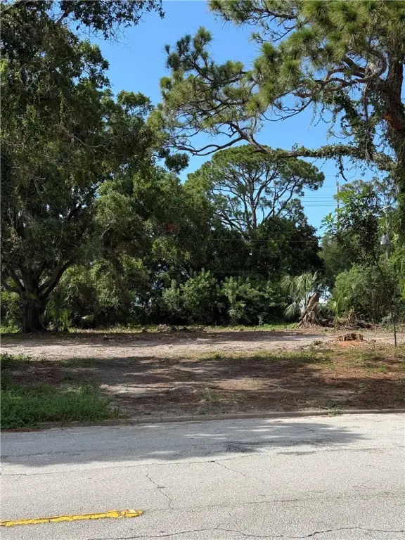 Picture 3