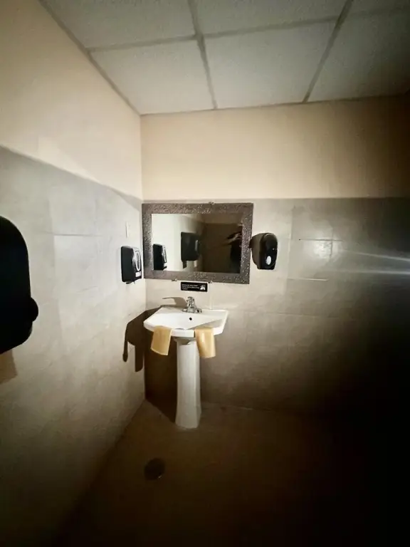 Picture 12
