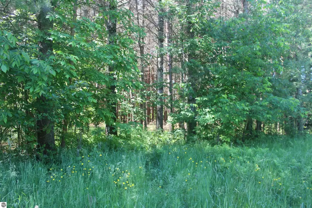 Picture 8