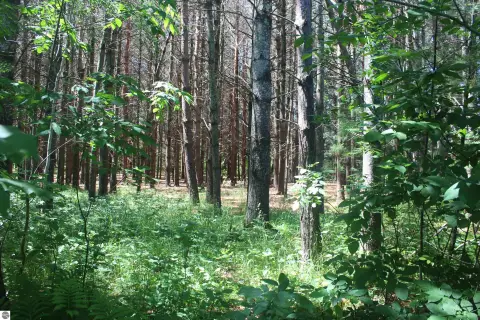 Wooded Residential Home Site
