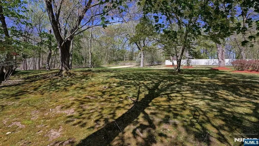 Picture 29
