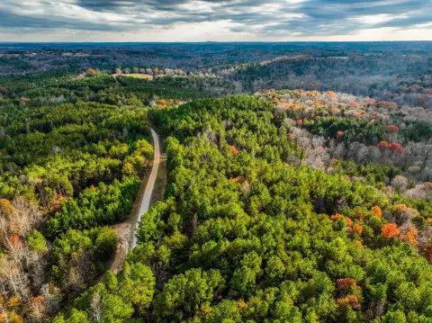Haleyville Land Near National Forest