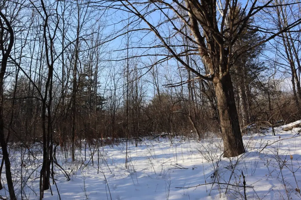 Picture 47