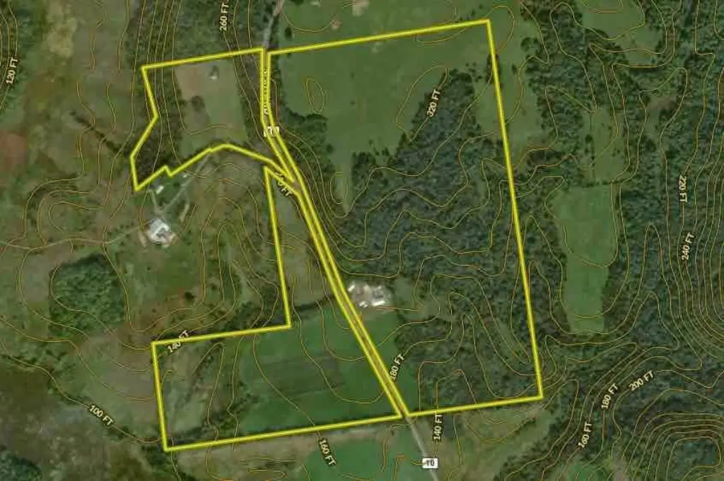 Picture 77