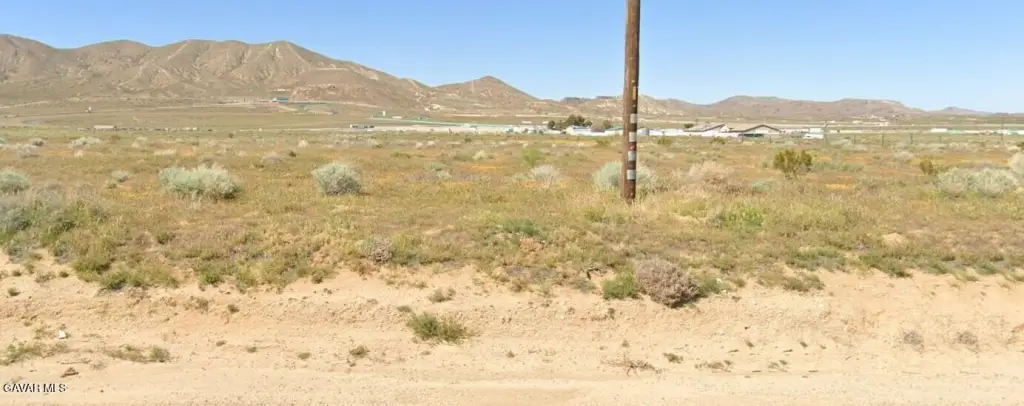 Picture 6