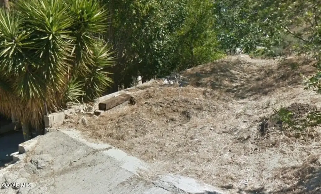 Picture 3