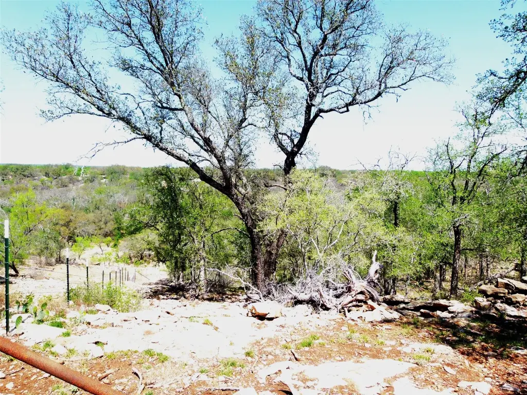 Picture 38