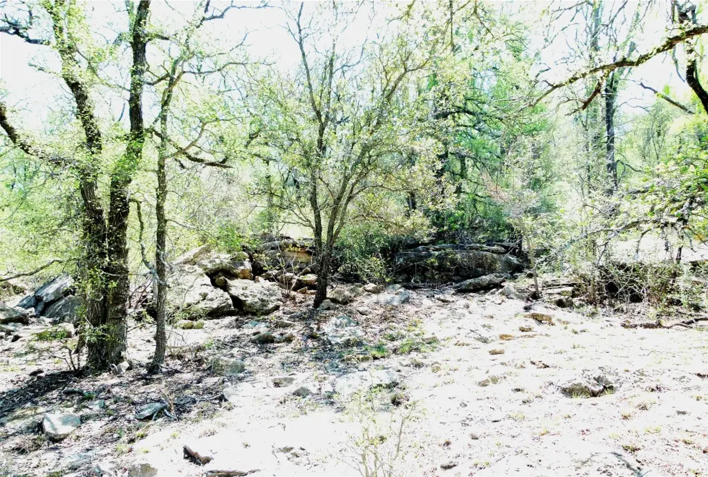 Picture 5