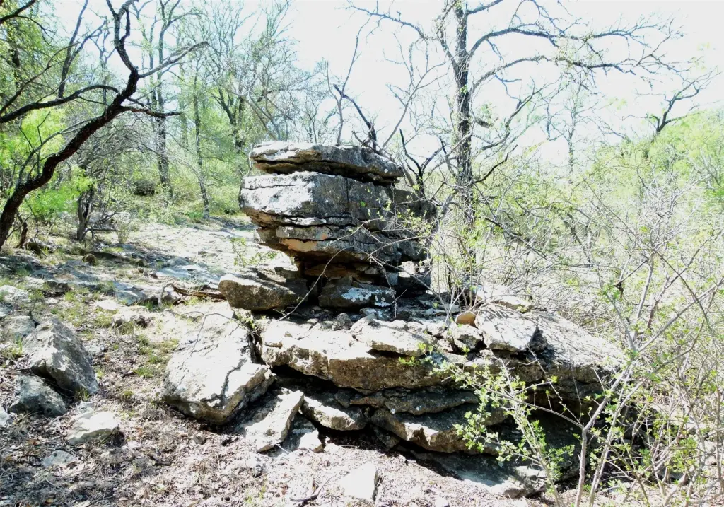 Picture 4