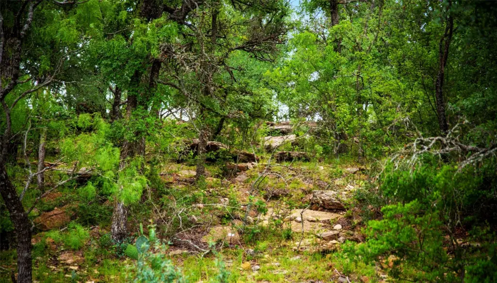 Picture 26