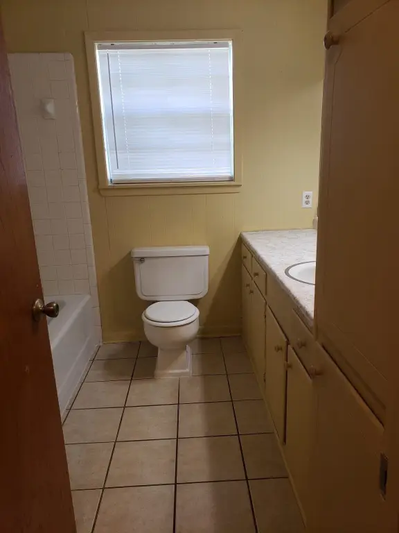 Picture 8