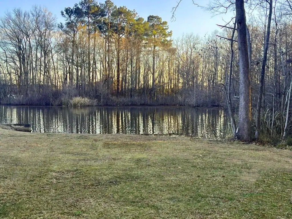 Picture 4