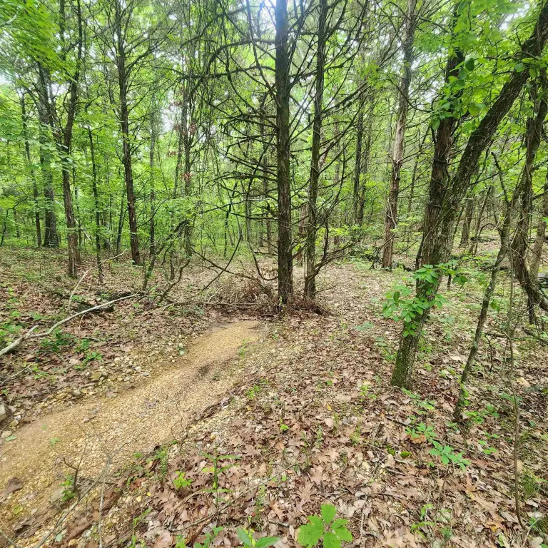 Picture 17