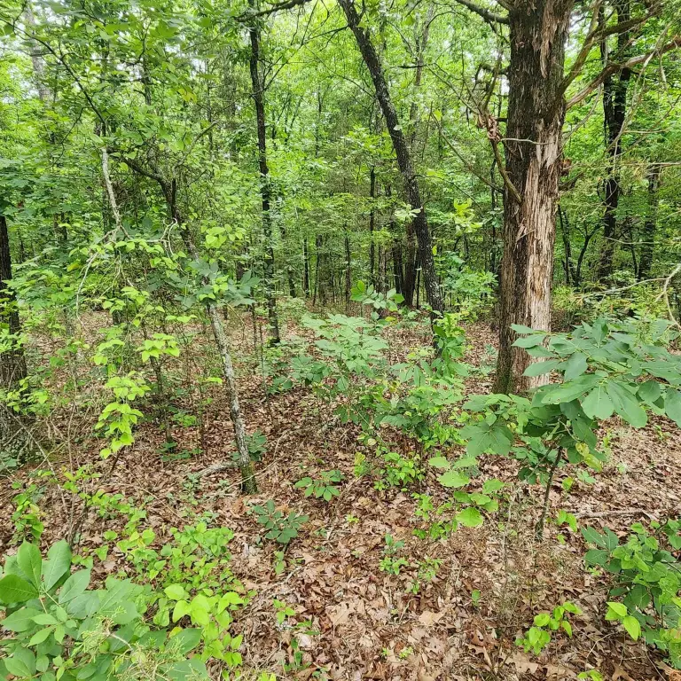 Picture 21