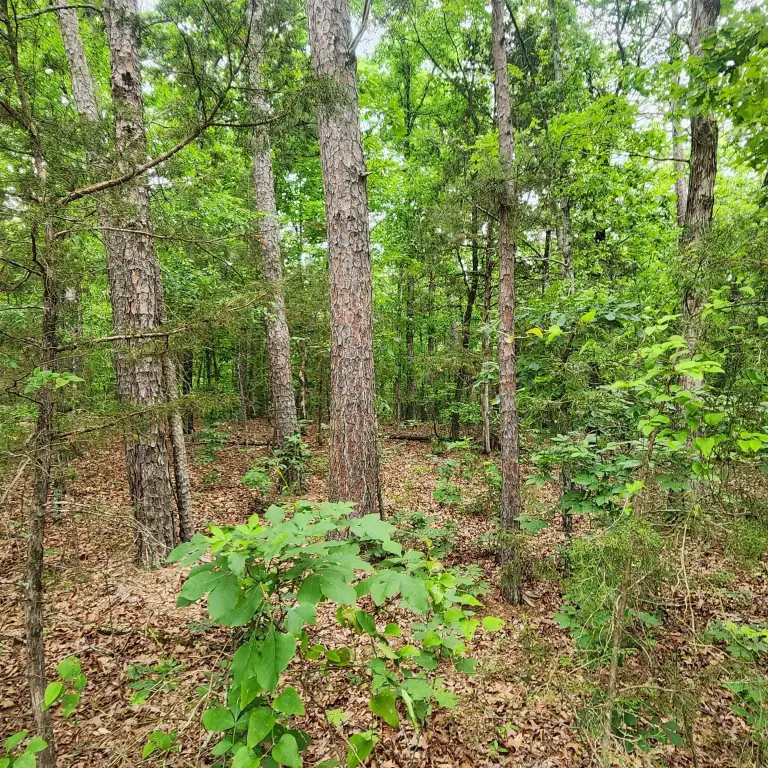 Picture 23