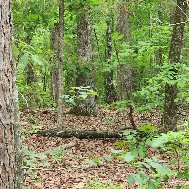 Picture 25