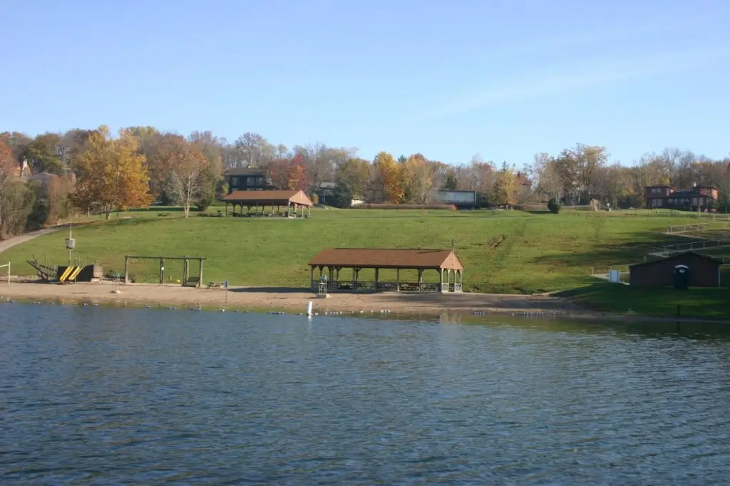 Picture 6