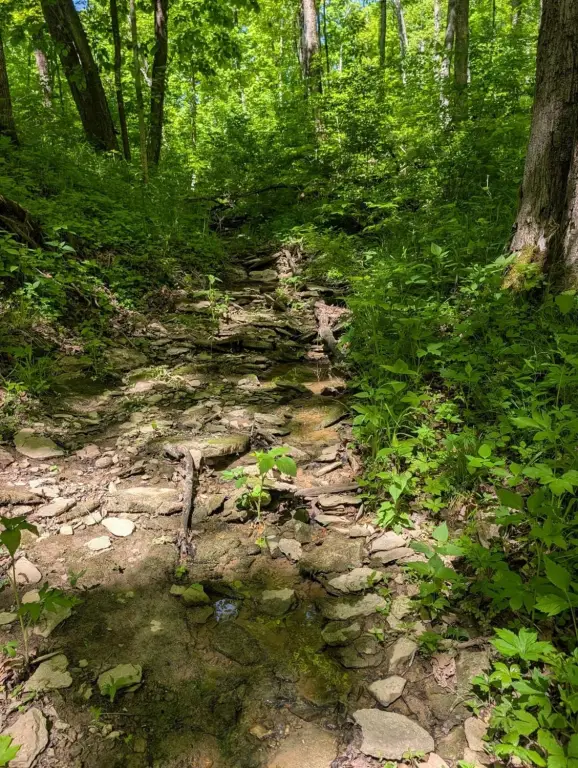 Picture 17