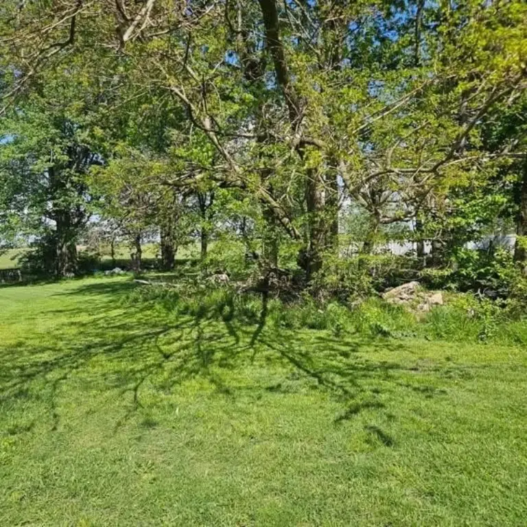 Picture 3