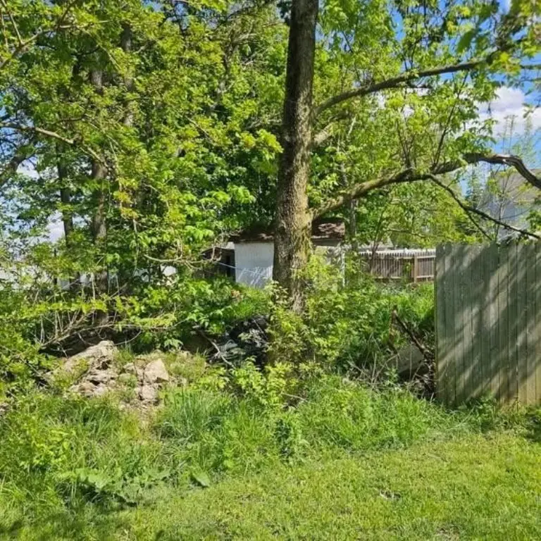 Picture 5