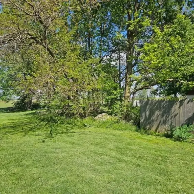 Picture 6