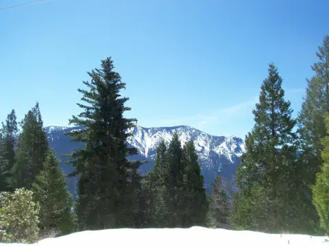 Land For Sale, Springville