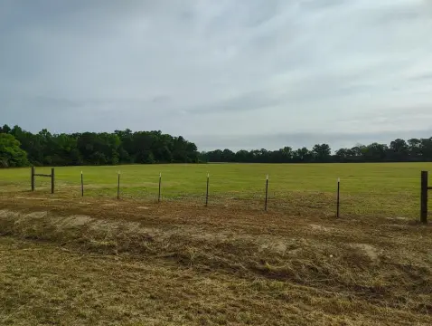 Residential Land in Ashford, AL