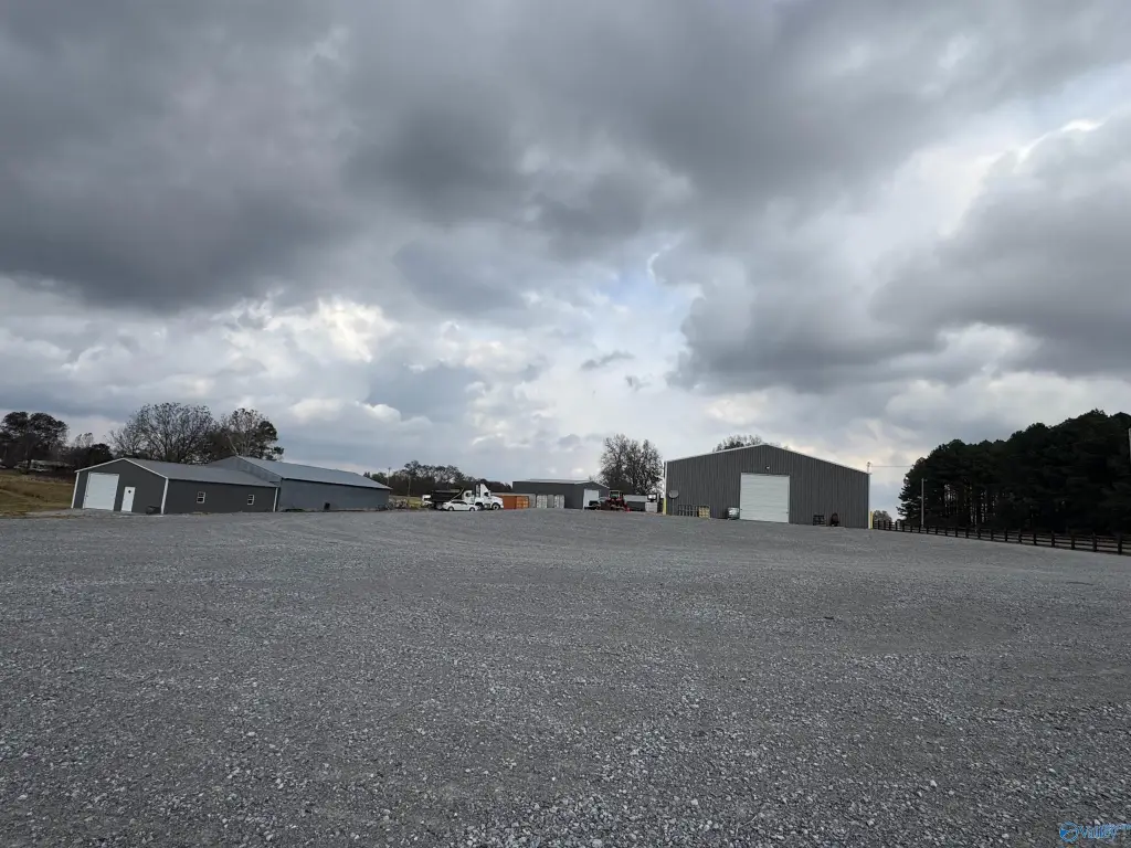 Picture 6