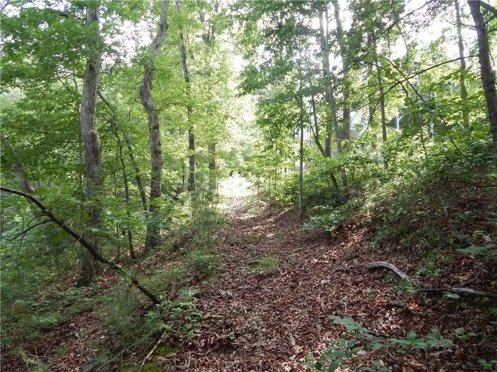 Picture 8