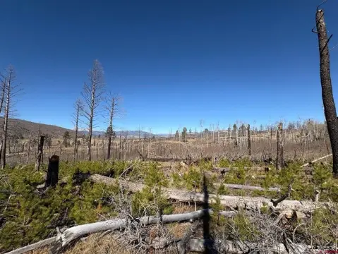 Mountain Land in Forbes Park