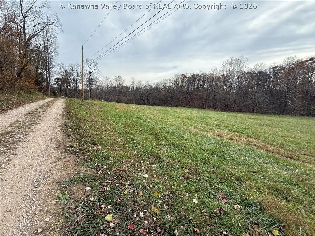 Picture 5